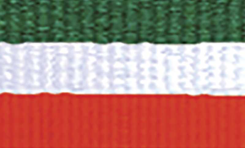 orginal_1065gn-wh-or-4.jpg