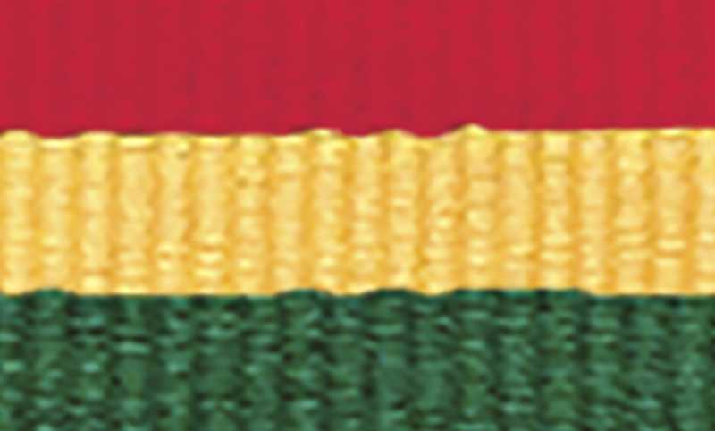 orginal_1065r-y-gn-4.jpg