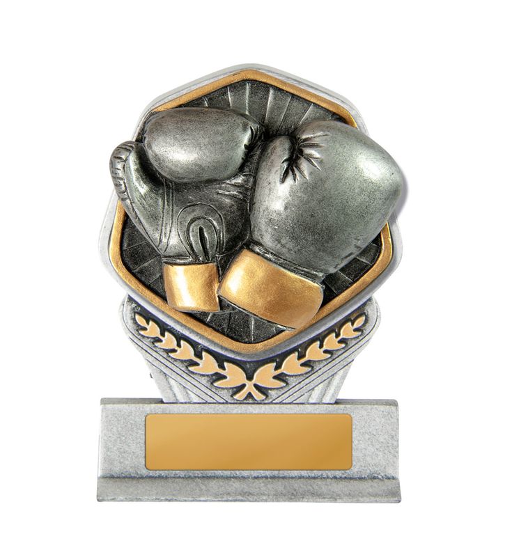 Boxing Trophy 240mm