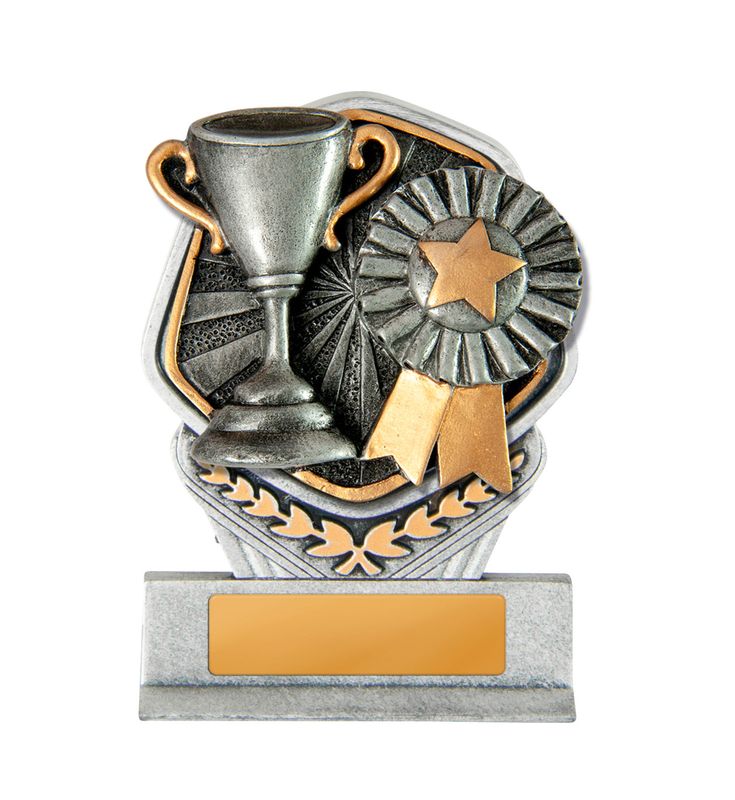 Achievement Schools Trophy 225mm