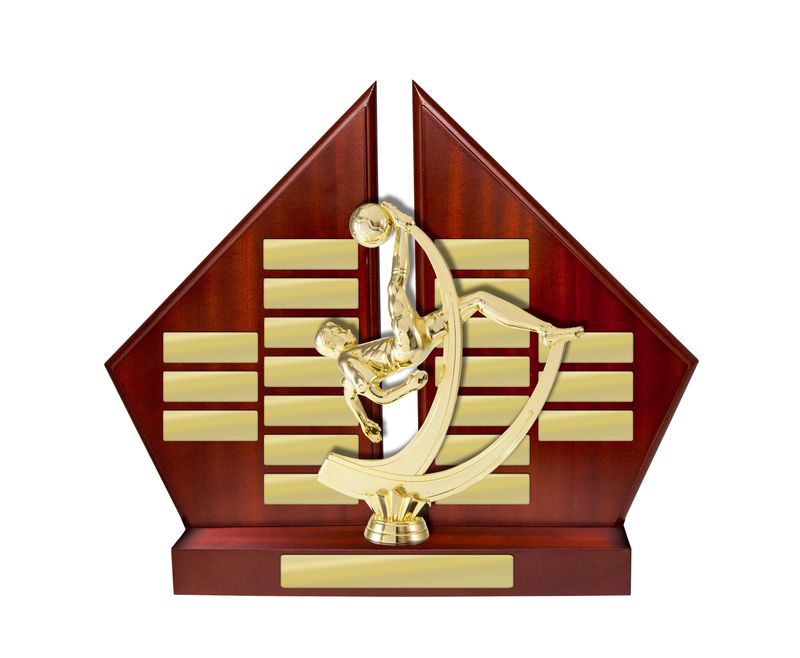Soccer Perpetual Trophy 310mm