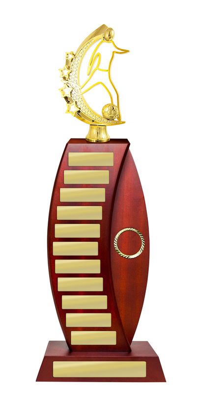 Soccer Perpetual Trophy 440mm
