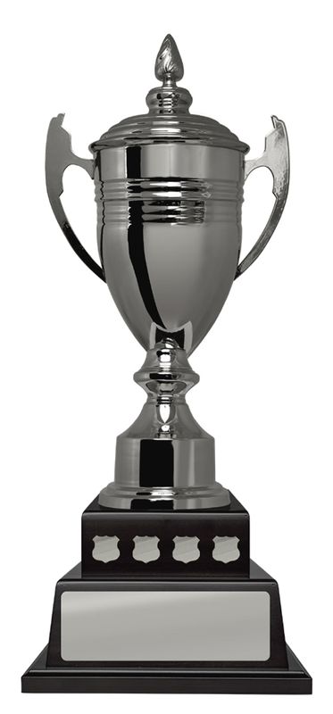 All Sports Perpetual Trophy 550mm