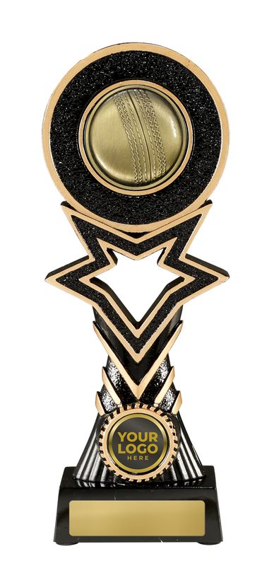 Cricket Trophy 295mm