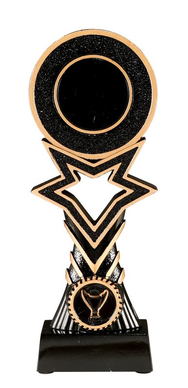 All Sports Trophy 295mm