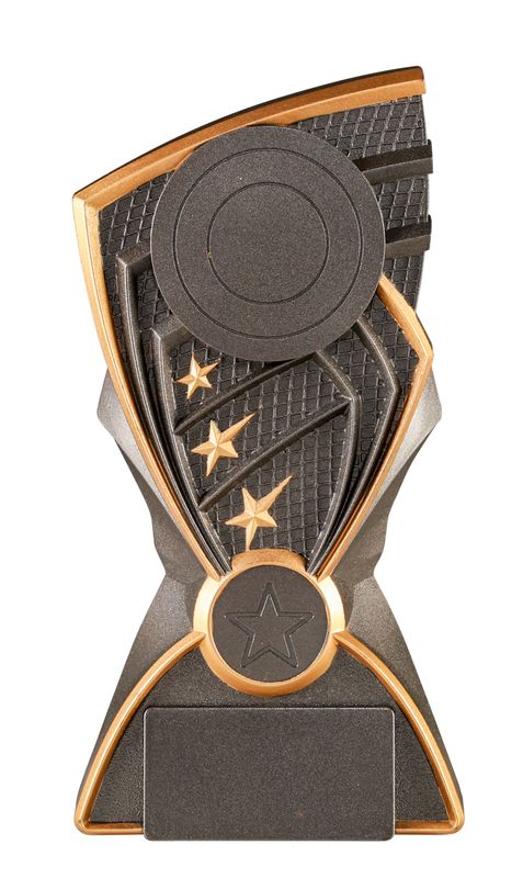 Stand All Sports Trophy 210mm