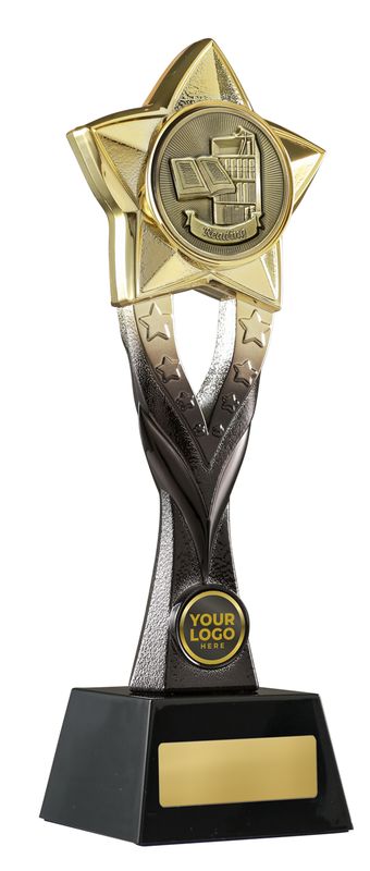 Reading Schools Trophy 263mm