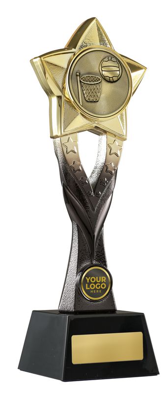 Netball Trophy 263mm