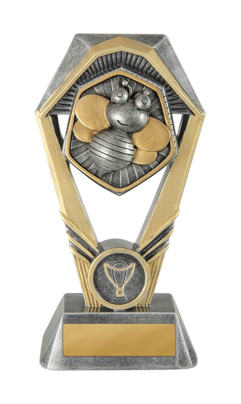 Knowledge Schools Trophy 230mm