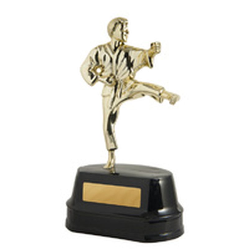 One piece figurine on base Karate Male Martial Arts Trophy 209mm