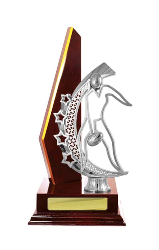 Aussie Rules Trophy 305mm