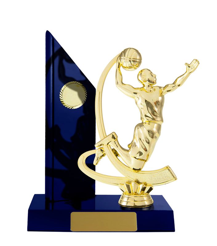 Basketball Trophy 195mm