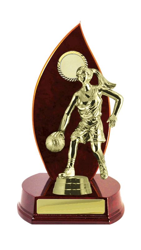 Basketball Trophy 230mm