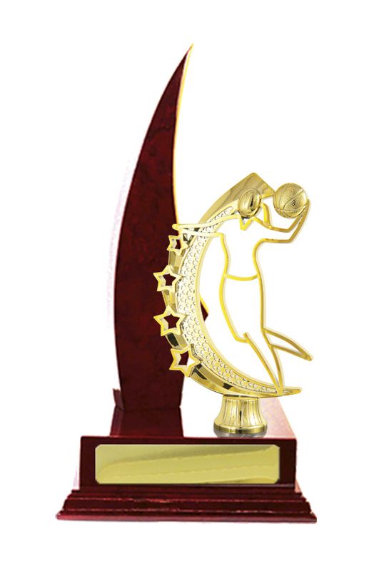 Basketball Trophy 270mm