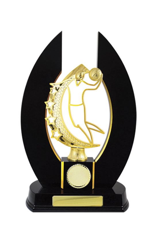 Basketball Trophy 320mm