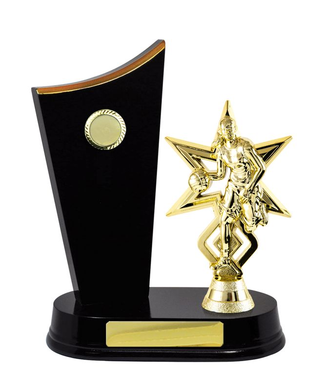 Basketball Trophy 230mm