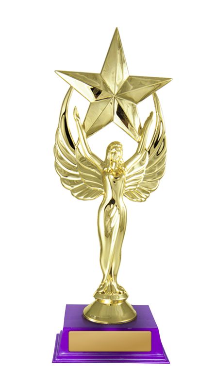 Angel Star Dance Trophy 200mm