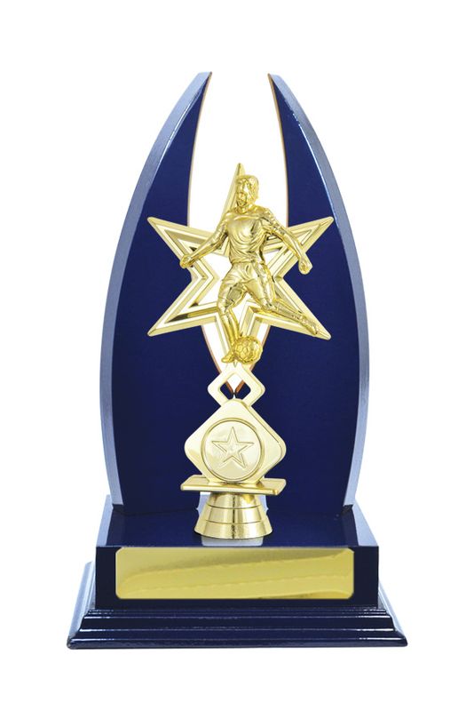 Football Male Trophy 270mm