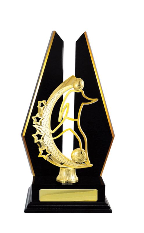 Football Male Trophy 305mm
