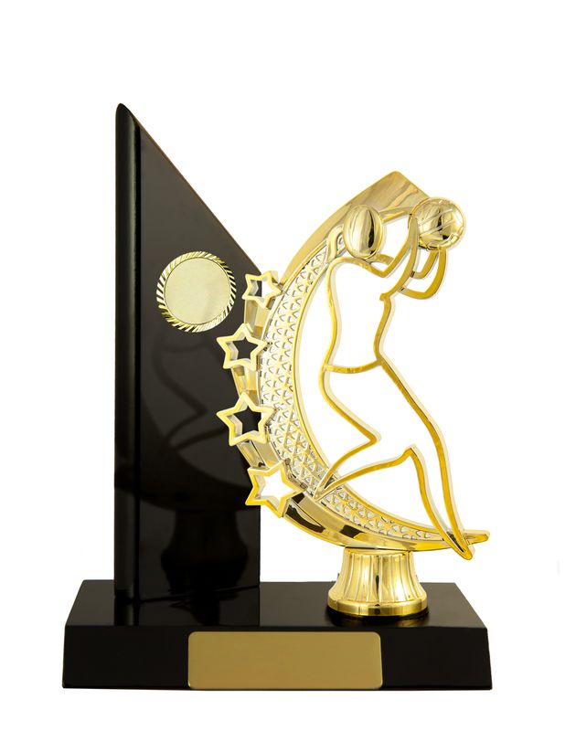 Netball Trophy 195mm