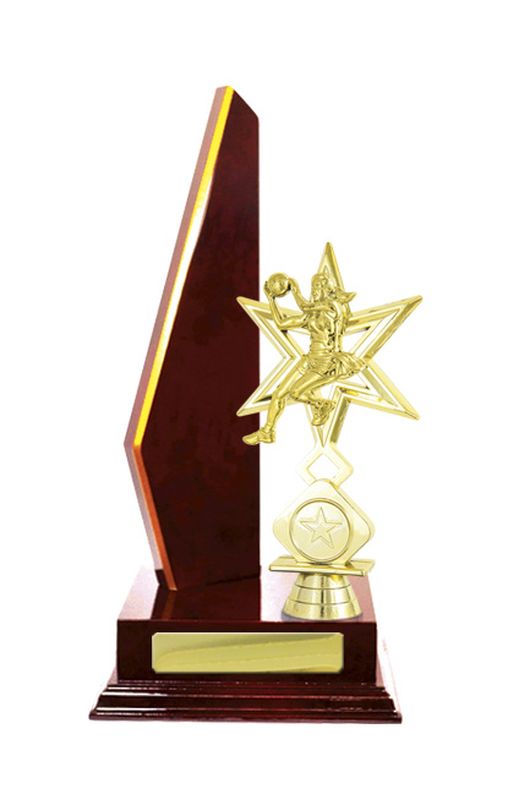 Netball Trophy 305mm