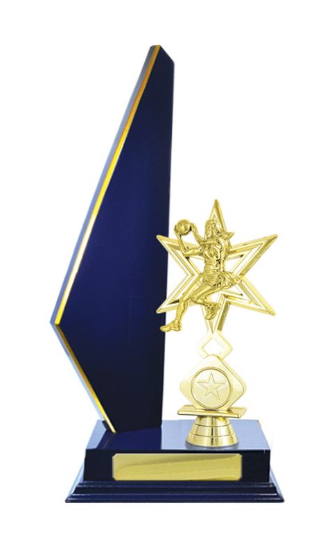 Netball Trophy 305mm