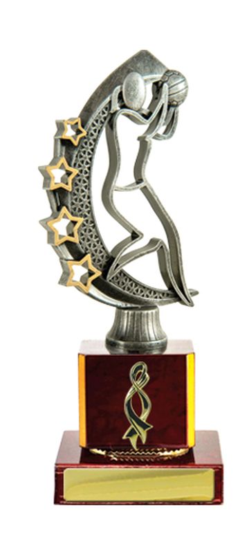 Netball Trophy 195mm