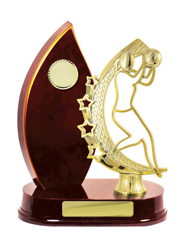 Netball Trophy 230mm