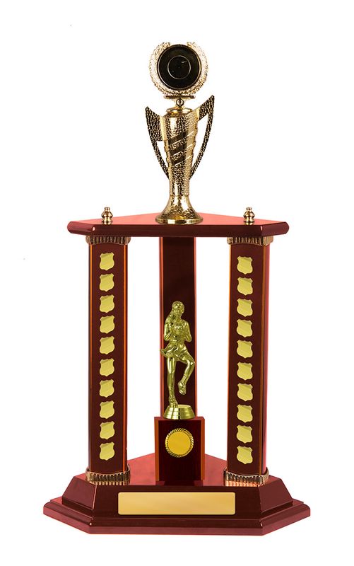 Netball Perpetual Trophy 600mm