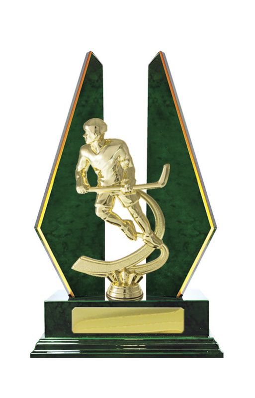 Ice Hockey Trophy 305mm