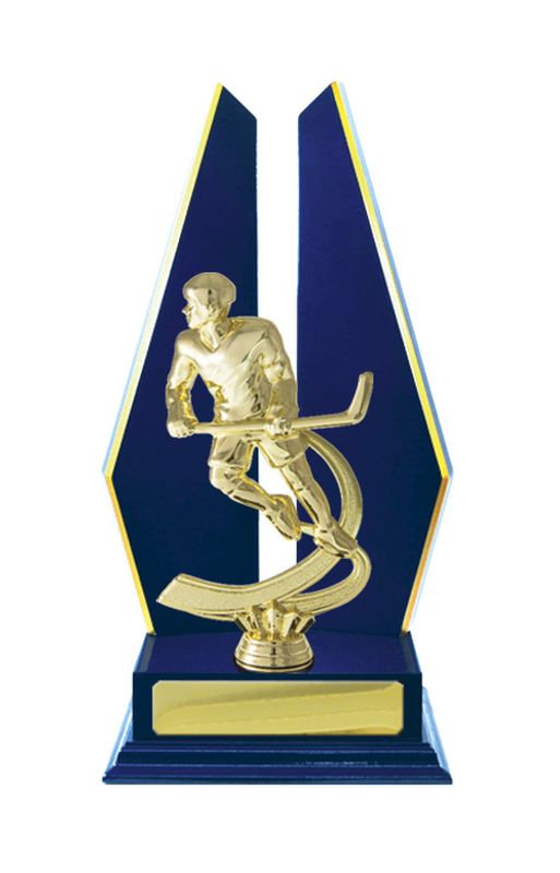 Ice Hockey Trophy 305mm