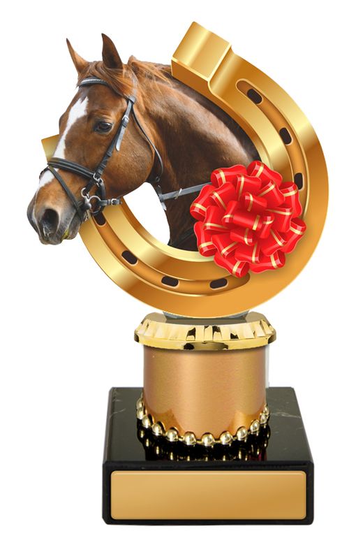 Equestrian Acrylic Trophy 157mm