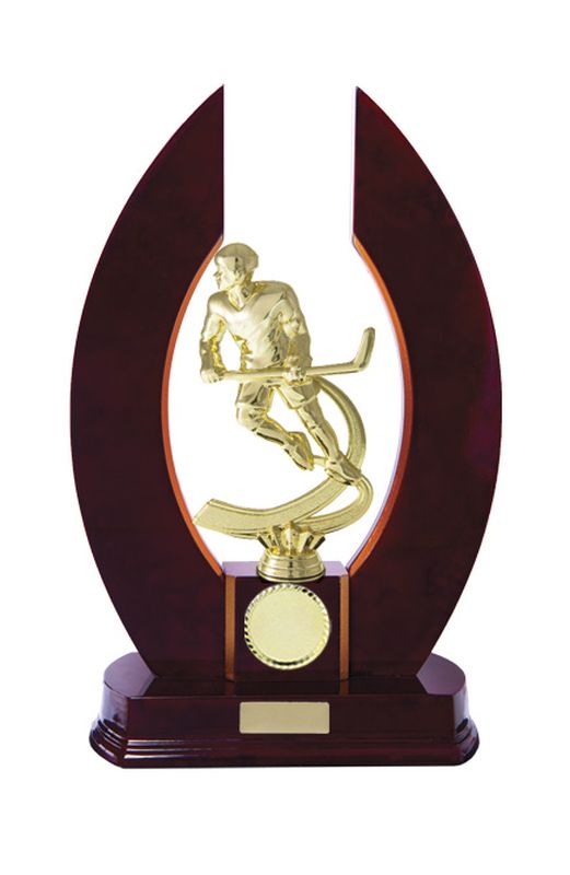 Ice Hockey Trophy 320mm
