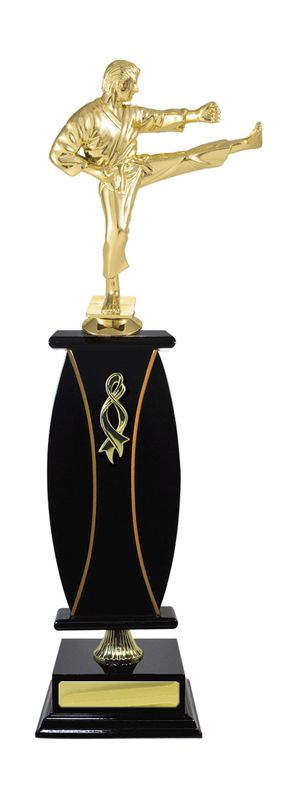 Martial Arts Trophy 503mm